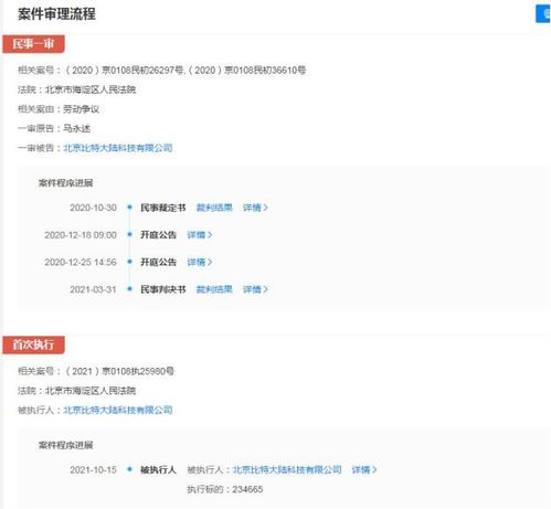 比特大陸關(guān)聯(lián)公司成被執(zhí)行人，執(zhí)行標(biāo)的超23萬元涉及軟件開發(fā)